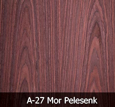 A27 Mor Plesenk