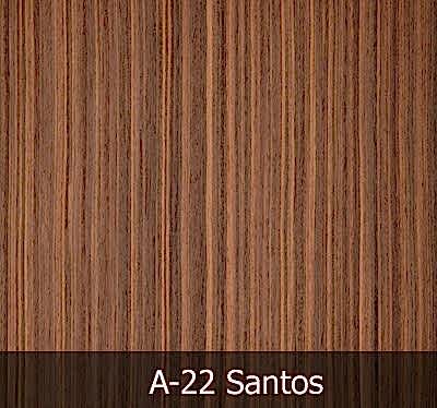 A22 Santos