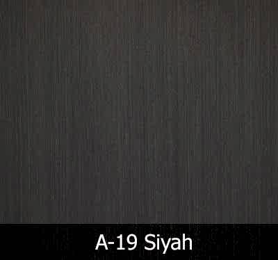 A19 Siyah